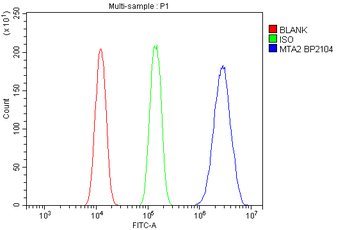 Anti-MTA2/PID Antibody