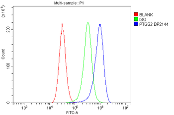 Anti-COX2/Cyclooxygenase 2/PTGS2 Antibody