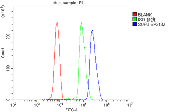 Anti-SUFU Antibody