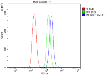 Anti-RANK/Tnfrsf11a Antibody