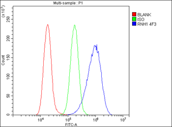 Anti-Ribonuclease Inhibitor/RNH1 Antibody (monoclonal, 4F3)