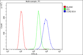 Anti-CCR2 Antibody (monoclonal, 8C4)