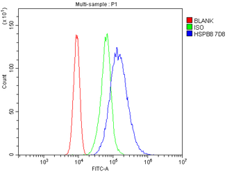 Anti-HSPB8/Hsp22 Antibody (monoclonal, 7D8)