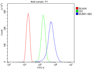 Anti-BubR1/BUB1B Antibody (monoclonal, 8B3)