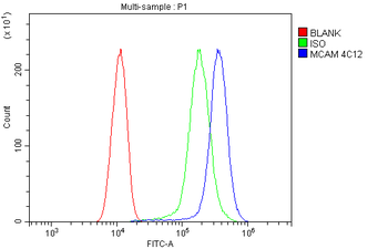 Anti-CD146/MCAM Antibody (monoclonal, 4C12)