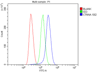 Anti-alpha 1 Catenin/CTNNA1 Antibody (monoclonal, 10I2)
