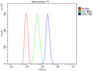 Anti-Thioredoxin 2/TXN2 Antibody (monoclonal, 7B5)