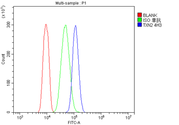 Anti-Thioredoxin 2/TXN2 Antibody (monoclonal, 4H3)