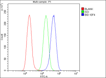 Anti-Bid Antibody (monoclonal, 10F4)