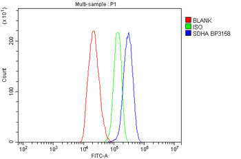 Anti-SDHA Antibody