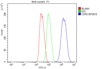 Anti-CDR2 Antibody