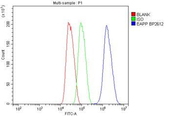 Anti-EAPP Antibody