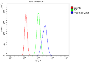 Anti-FABP6 Antibody