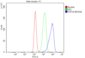 Anti-FGF10 Antibody