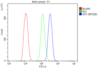 Anti-GFI1 Antibody