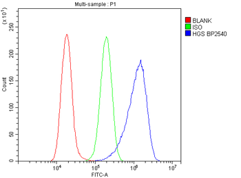 Anti-HGS Antibody