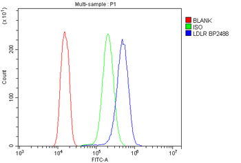 Anti-LDL Receptor/LDLR Antibody