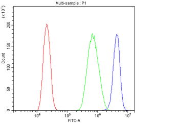 Anti-E3 SUMO-protein ligase PIAS1 PIAS1 Antibody