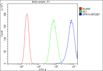 Anti-Sprouty 4/Spry-4/SPRY4 Antibody