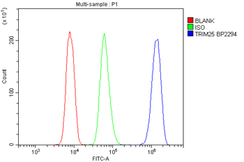 Anti-TRIM25/EFP Antibody