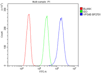 Anti-VPS4B/MIG1 Antibody