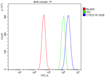 Anti-Cytochrome p450 2C19/CYP2C19 Antibody (monoclonal, 10G5)