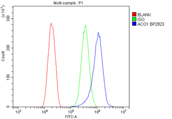 Anti-Aconitase 1/ACO1 Antibody