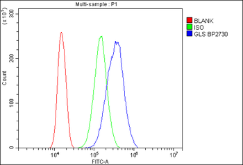 Anti-Glutaminase/GLS Antibody