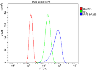 Anti-IRF3 Antibody