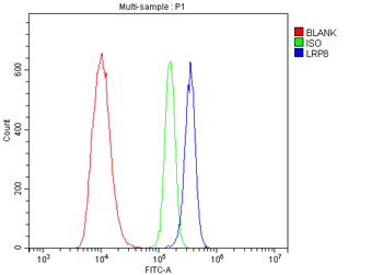 Anti-ApoER2/LRP8 Antibody