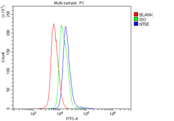 Anti-CD73/Nt5e Antibody