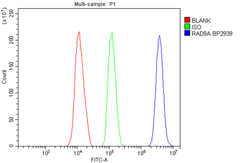 Anti-Rad9/Rad9a Antibody