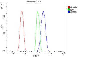 Anti-C5a-R/C5ar1 Antibody