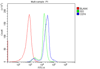Anti-CD74 Antibody