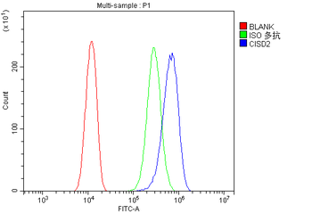 Anti-CISD2 Antibody
