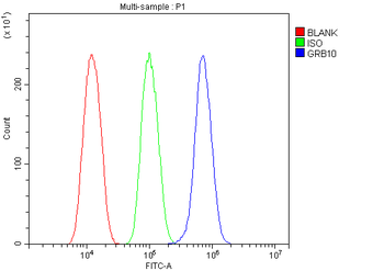Anti-GRB10 Antibody