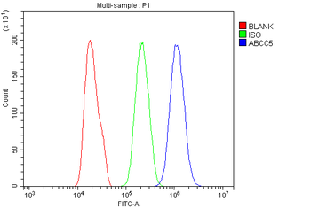 Anti-MRP5/ABCC5 Antibody