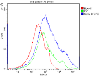 Anti-CCR2 Antibody