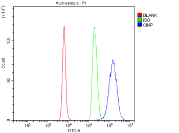 Anti-CINP Antibody