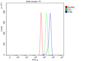 Anti-GILT/IFI30 Antibody