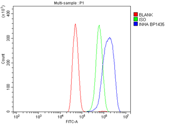 Anti-Inhibin alpha/INHA Antibody