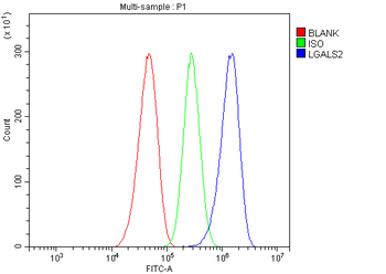 Anti-Galectin 2/LGALS2 Antibody