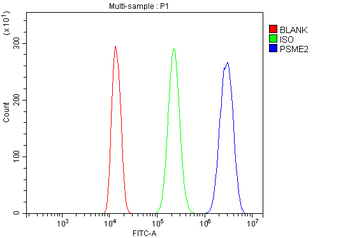 Anti-PSME2 Antibody