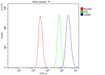 Anti-LSM8 Antibody