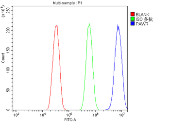 Anti-PAR4/Pawr Antibody