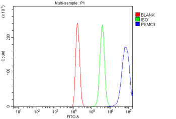 Anti-TBP-1/PSMC3 Antibody