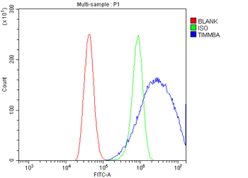 Anti-TIMM8A/DDP Antibody