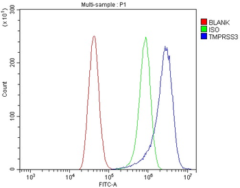Anti-TMPRSS3 Antibody