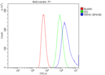 Anti-TRPA1/TSA Antibody