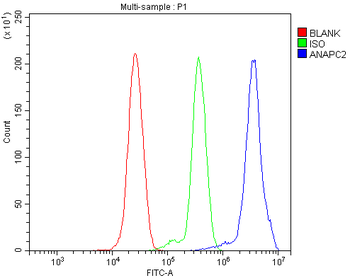 Anti-ANAPC2 Antibody
